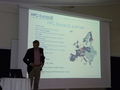 P1010735.jpg