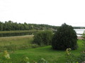 img_0451.jpg