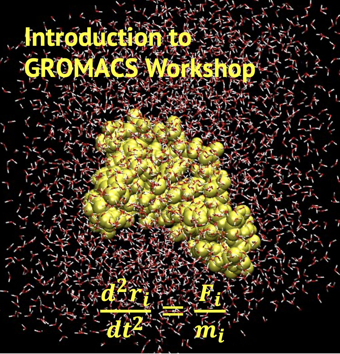 image of a biomolecular simulation as advertising for the Introduction to GROMACS Workshop 