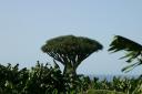 img_7551-128.jpg
